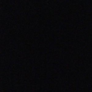 Meet your Posher, Bruce